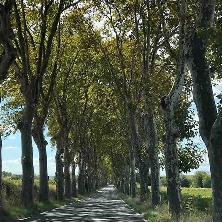 Magalas Studio شقة