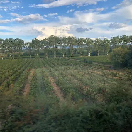 Magalas Studio * Magalas