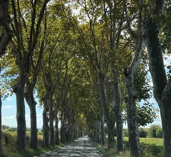 Magalas Studio Apartment