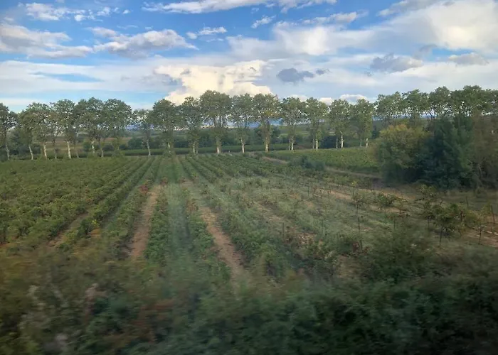 Magalas Studio * Magalas